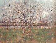 Orchard in Blossom (nn04), Vincent Van Gogh